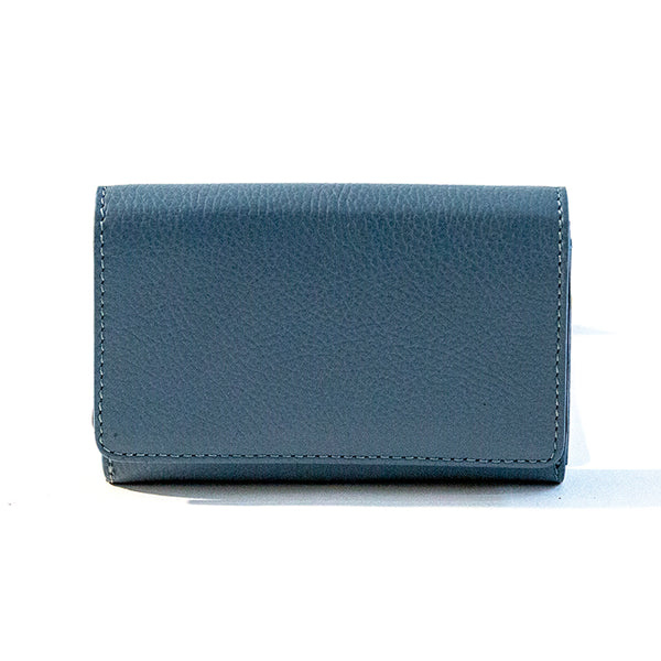 SMALL WALLET in avio dollar leather