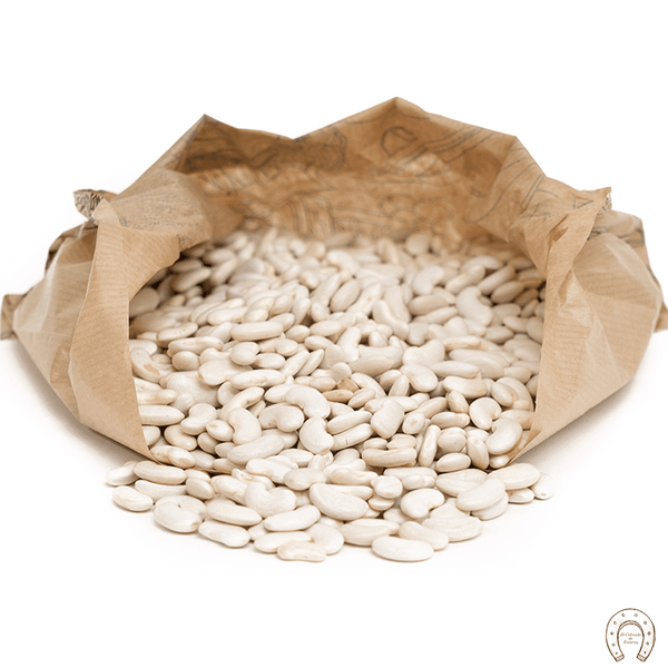 Alubia blanca del Ganxet