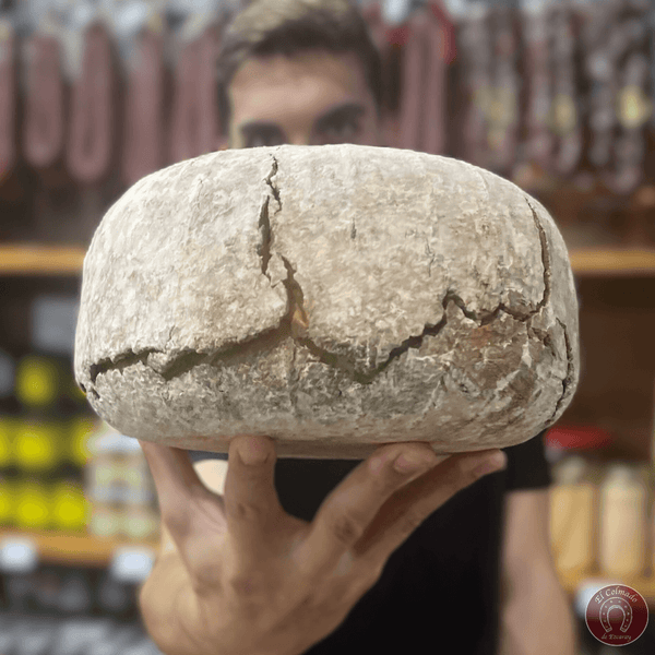 Aullido Azul de Siete Lobas