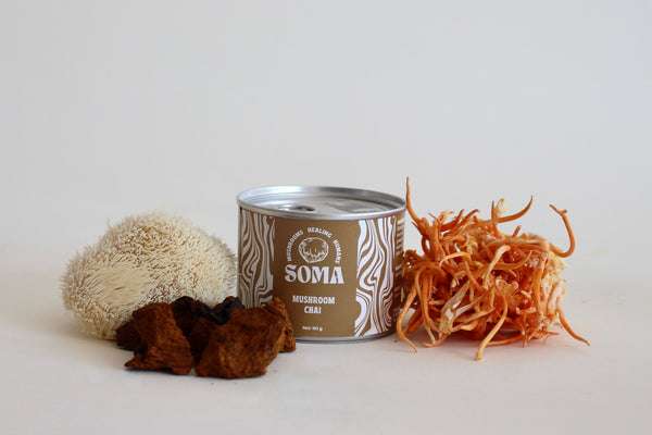 3 Paddenstoelen Masala Chai