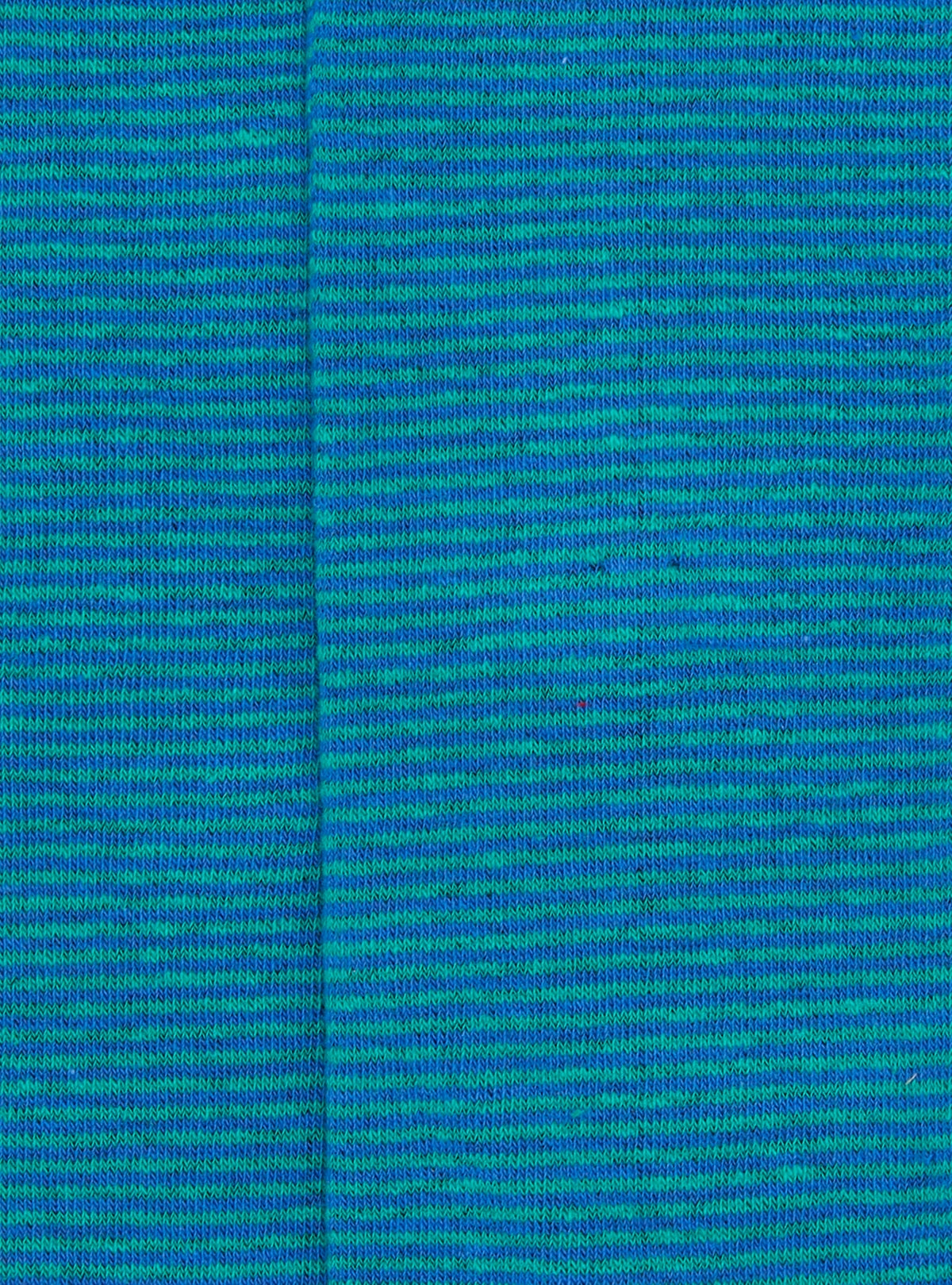 01619_C10136|65e83b4e34d229d0f9bad97685578250