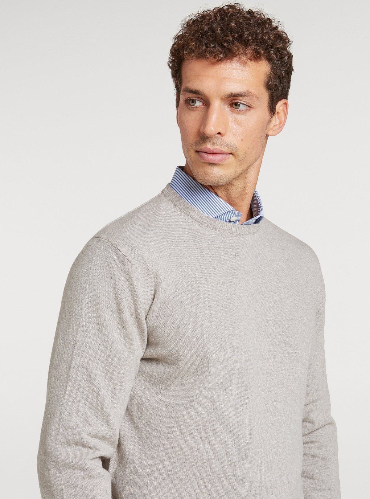 01717_4_2|de564d300396768a2d89f2ece66f0120