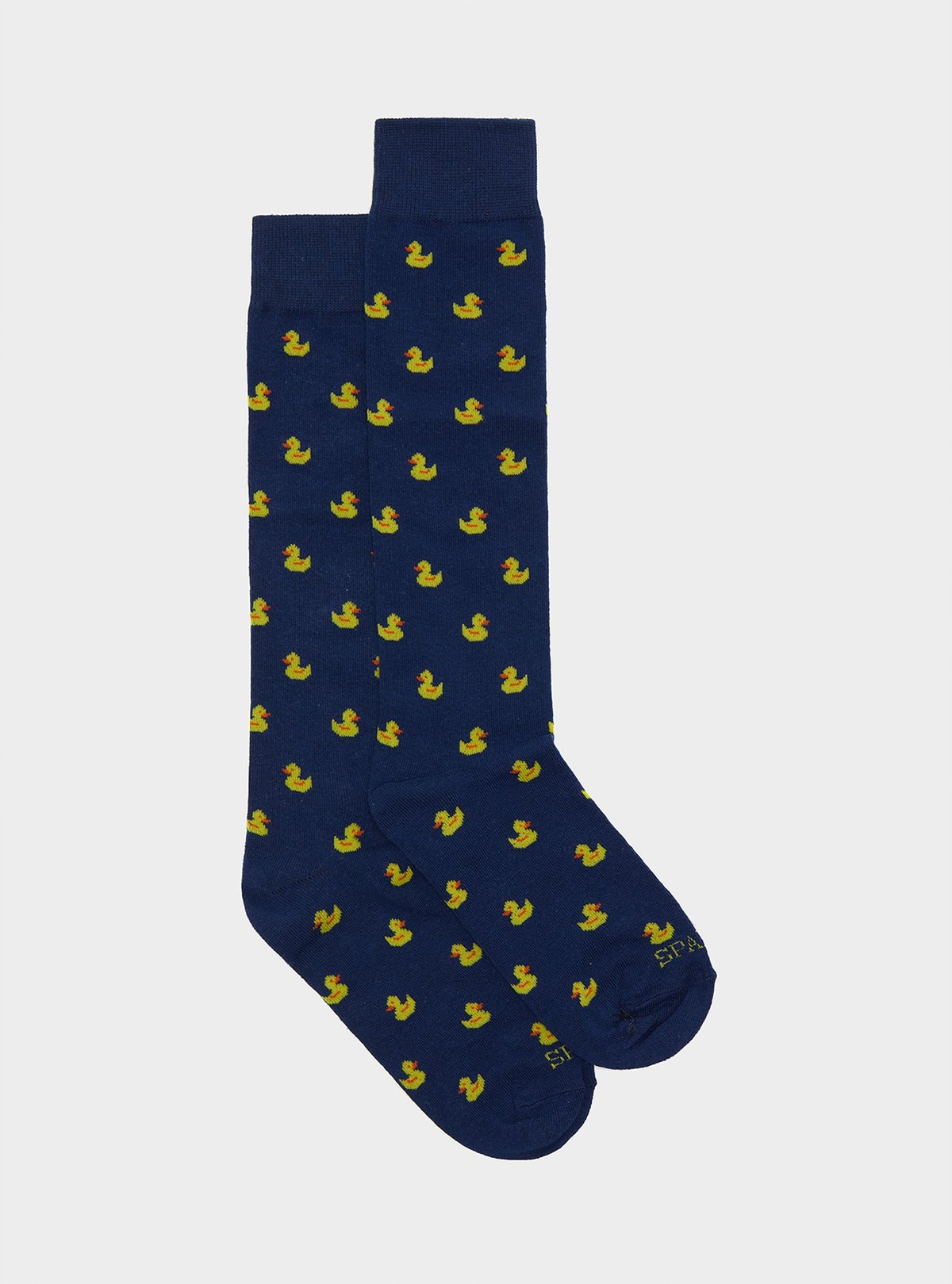 01952_68|b36a78551462660381877c229ad3208c