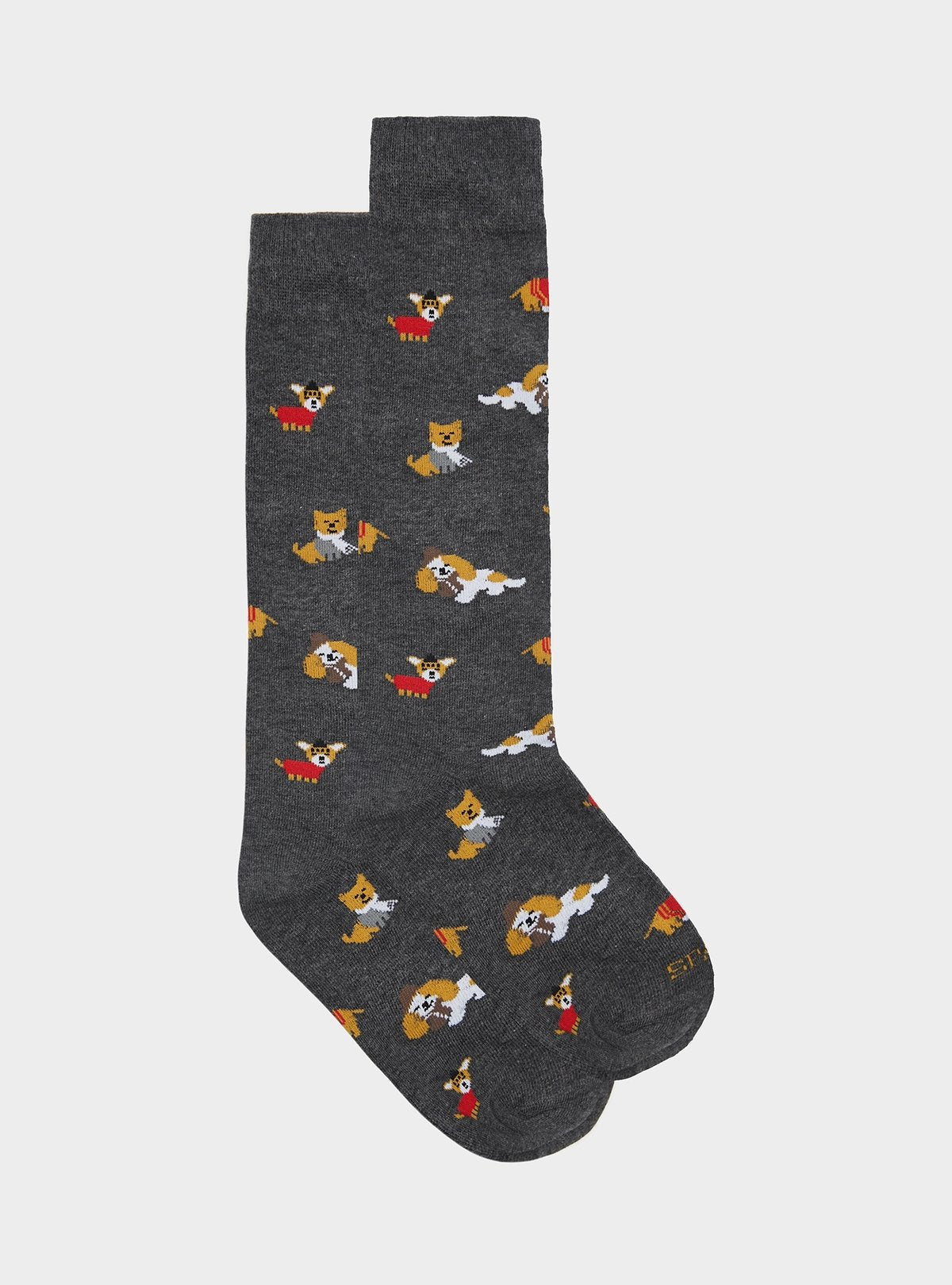 02063_17|2f4501785e157df94ddc79ed2af0fb33