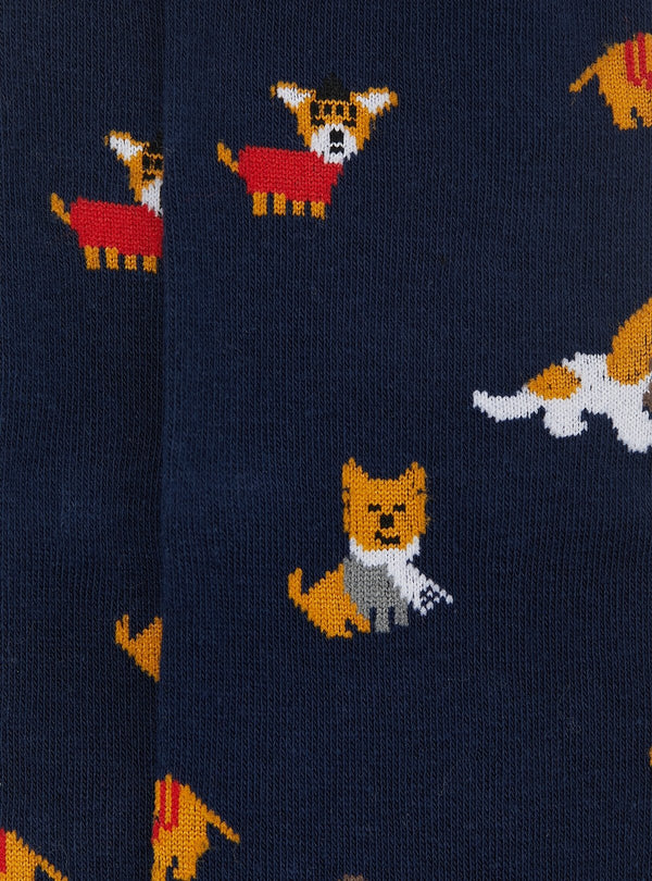 02063_68_0|b45bd41b1a0d5481397c6b424235c415