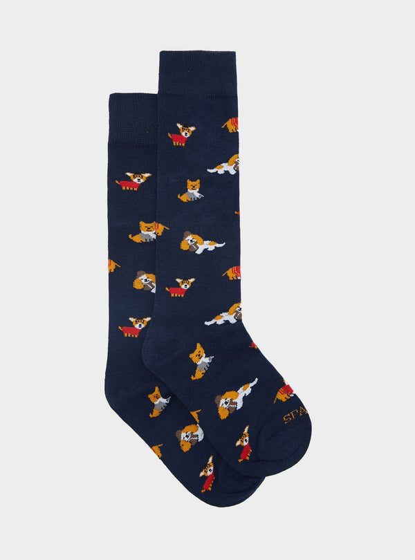 02063_68|55db6451159462ec2f84da613b09a1bc