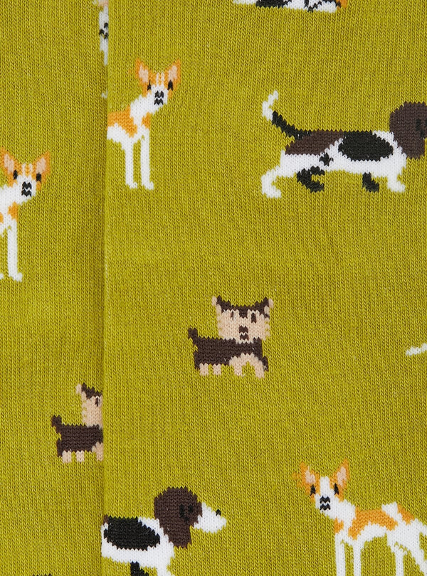 02064_8_0|d455ce020bc23e9669e939164a20265b