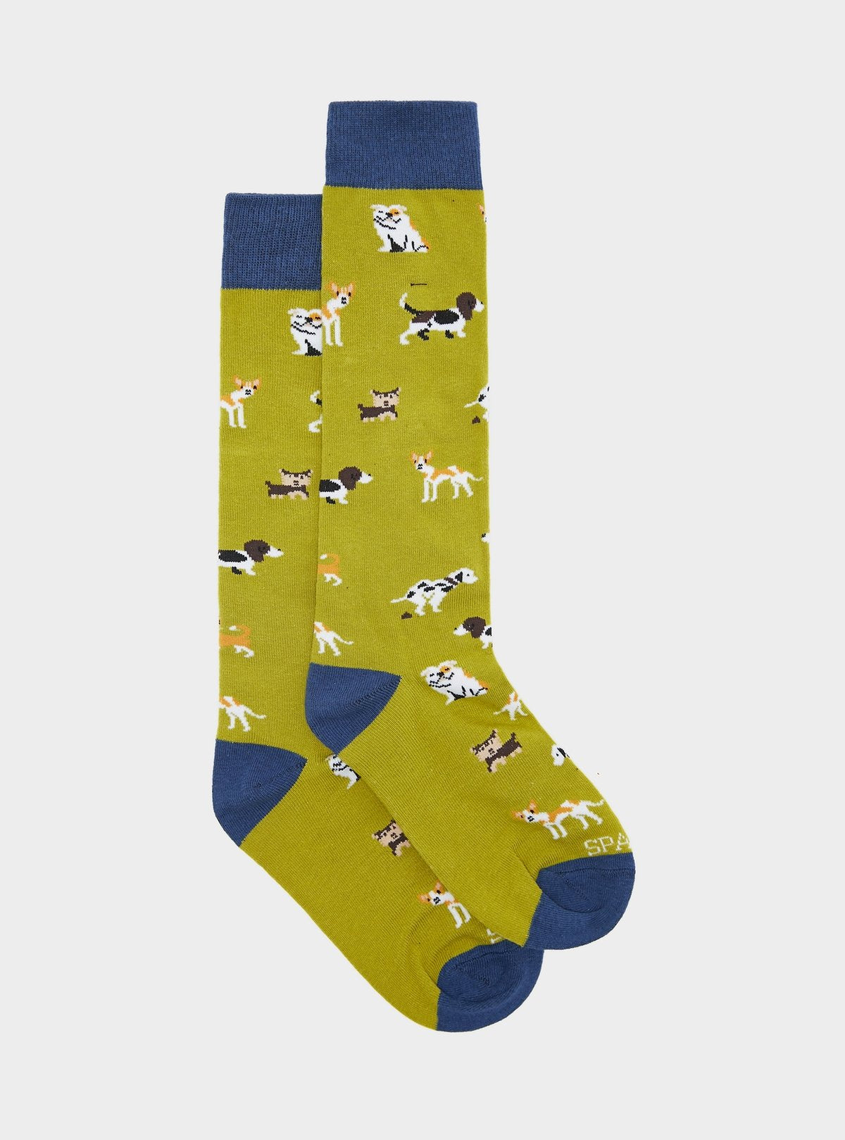 02064_8|916ab609c7bd68f73b6ad5044ca2b245