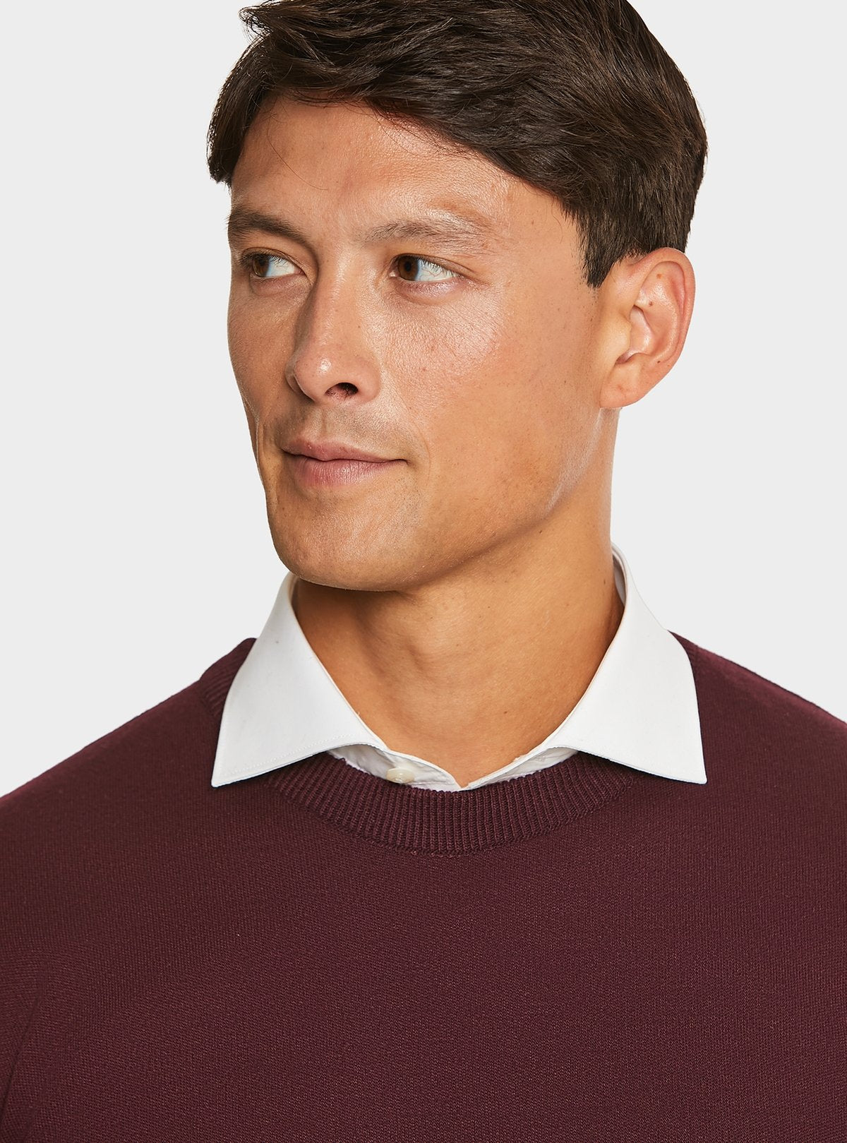 02096_78_1|694b760ded2d1e19a9a689db8502e071