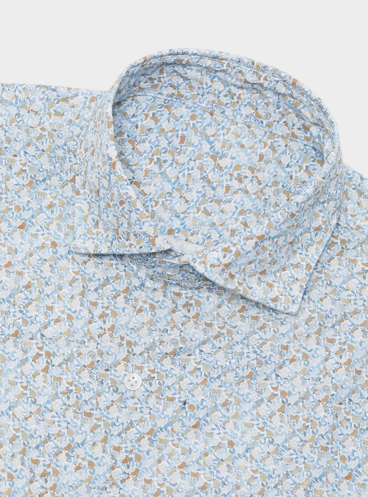 02120_118_0|b036d42255a0336454e9aaed77cc44b6