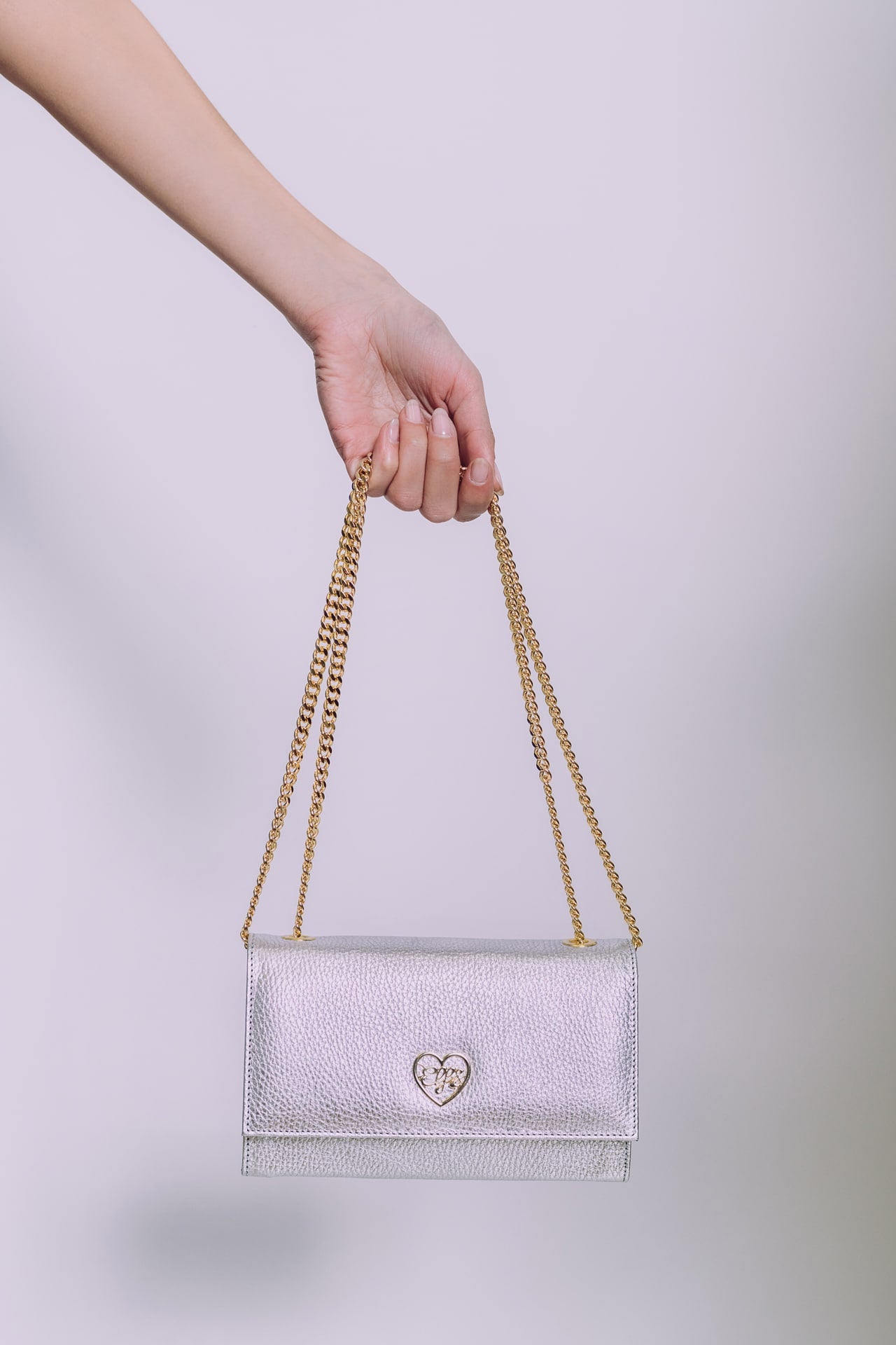Silver Bag X
