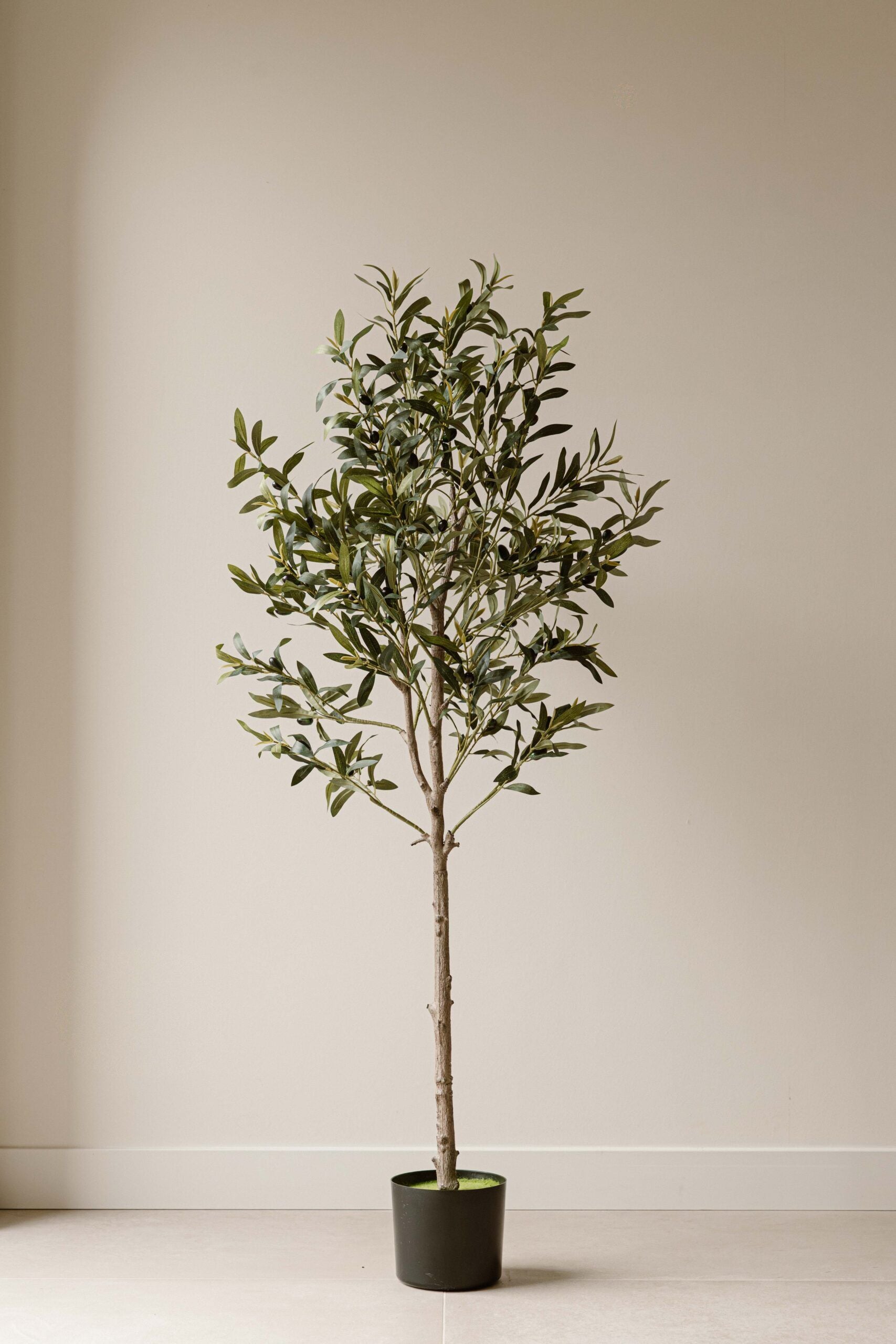 Indore Silva - Artificial Olive Tree - 155cm