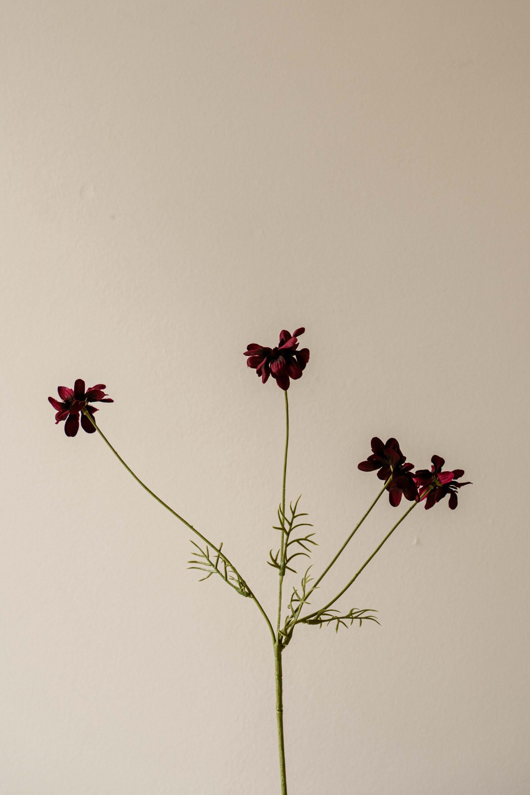 Indore Silva - Daisy - Purple - artificial branch - silk