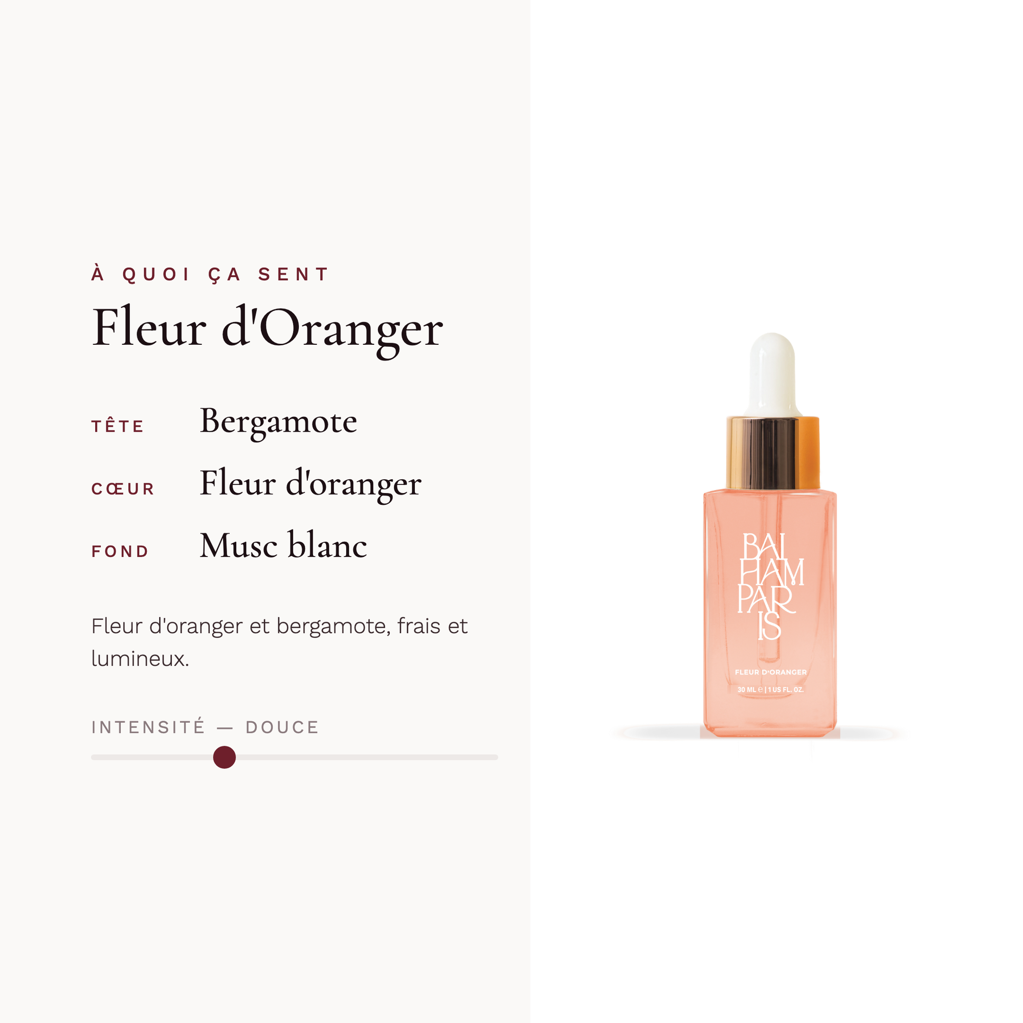 Orange Blossom