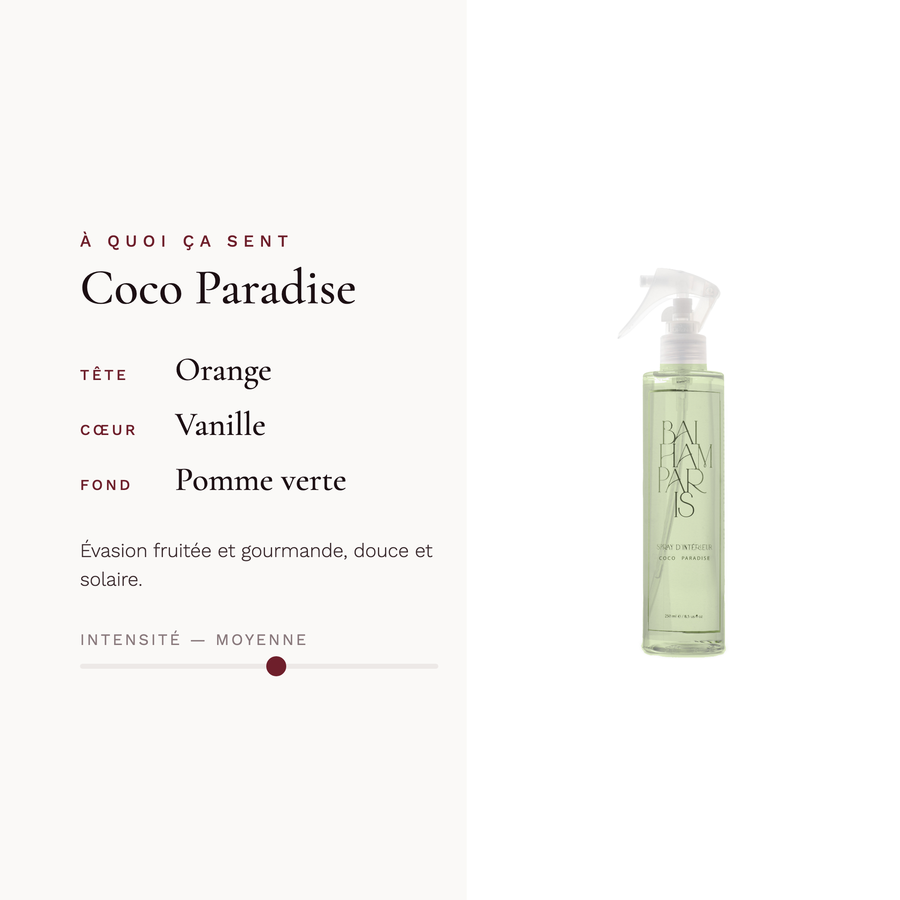 Coco Paradise