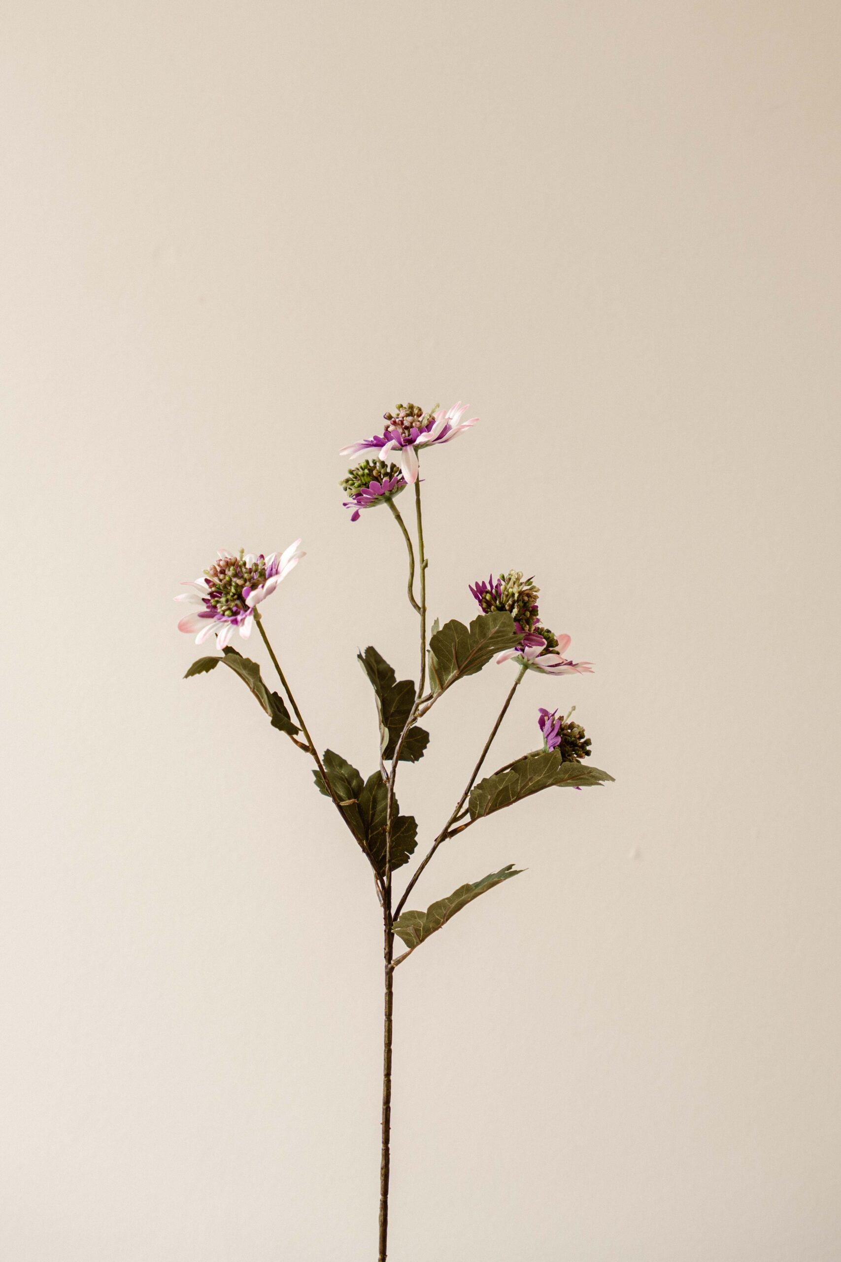 Indore Silva - Lychnis - Purple - artificial branch - silk