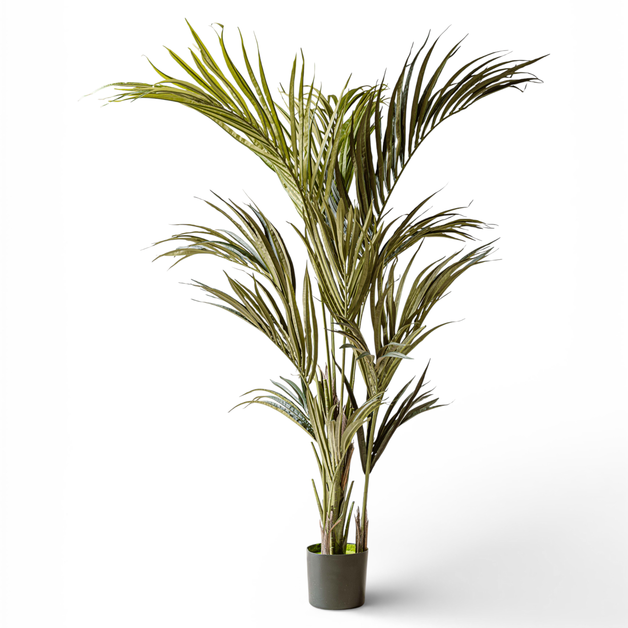 Indore Silva - Artificial Kentia Palm - 180cm
