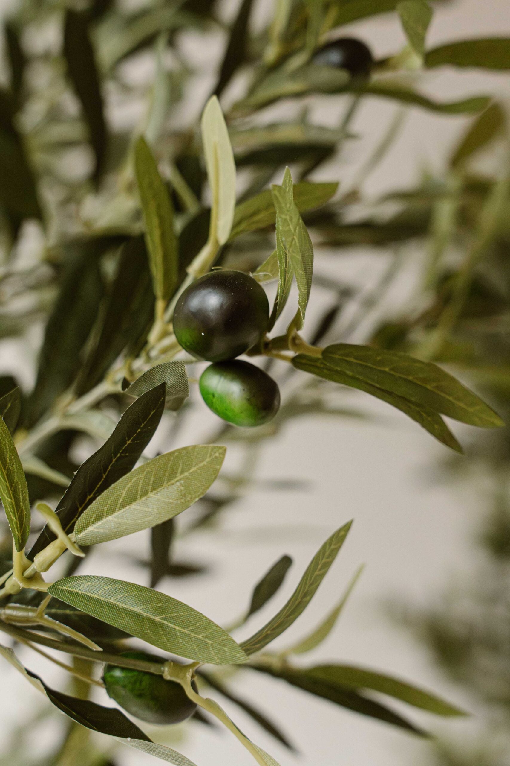 Kunst Olijfboom 190 cm – Mediterrane Olijfboom Kunstplant – Grote Kamerplant – Indore Home