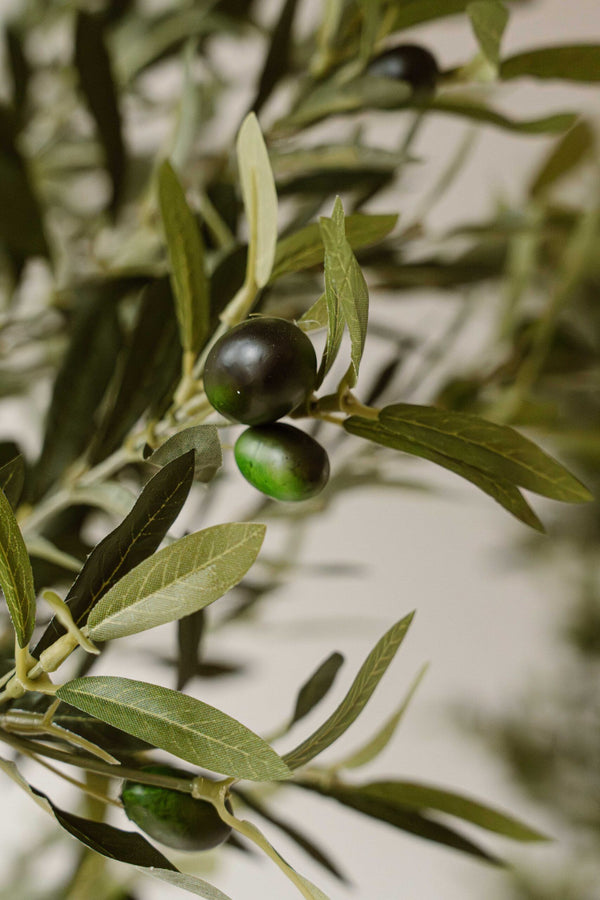 Kunst Olijfboom 190 cm – Mediterrane Olijfboom Kunstplant – Grote Kamerplant – Indore Home
