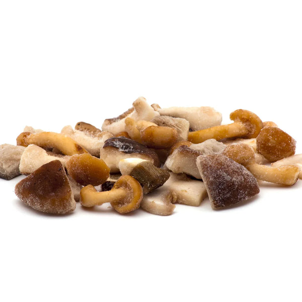 Mélange de champignons cultivés avec Boletus Edulis