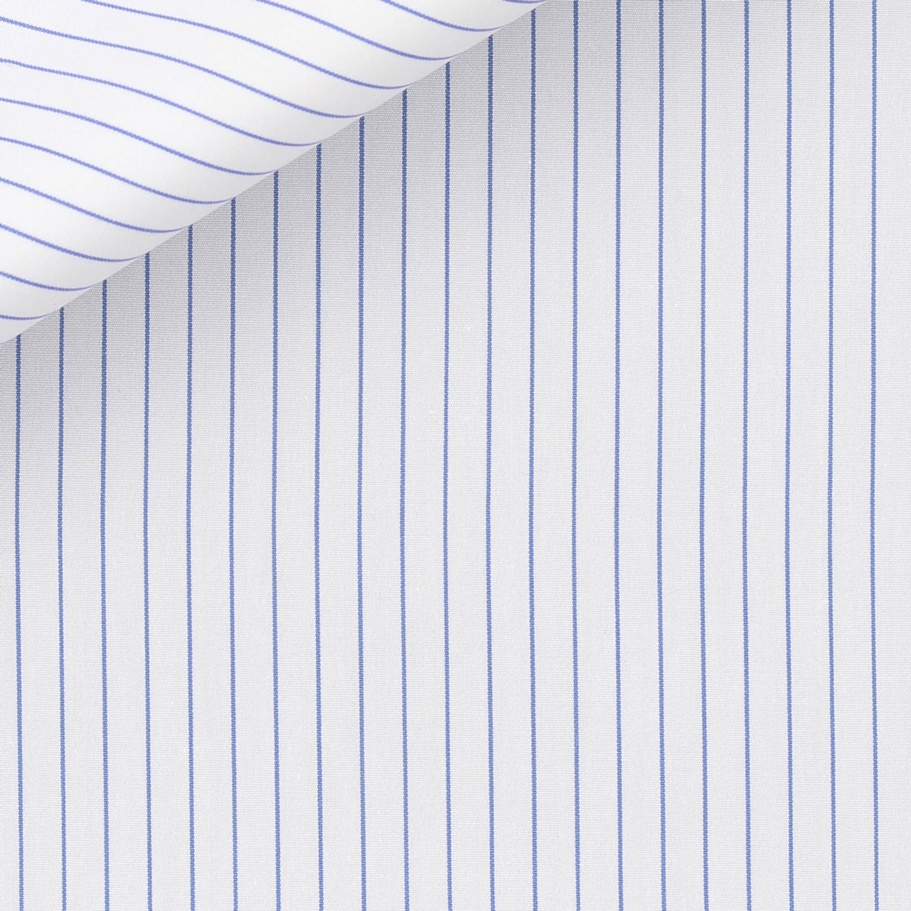 Firenze 107 Popeline 100% Cotton