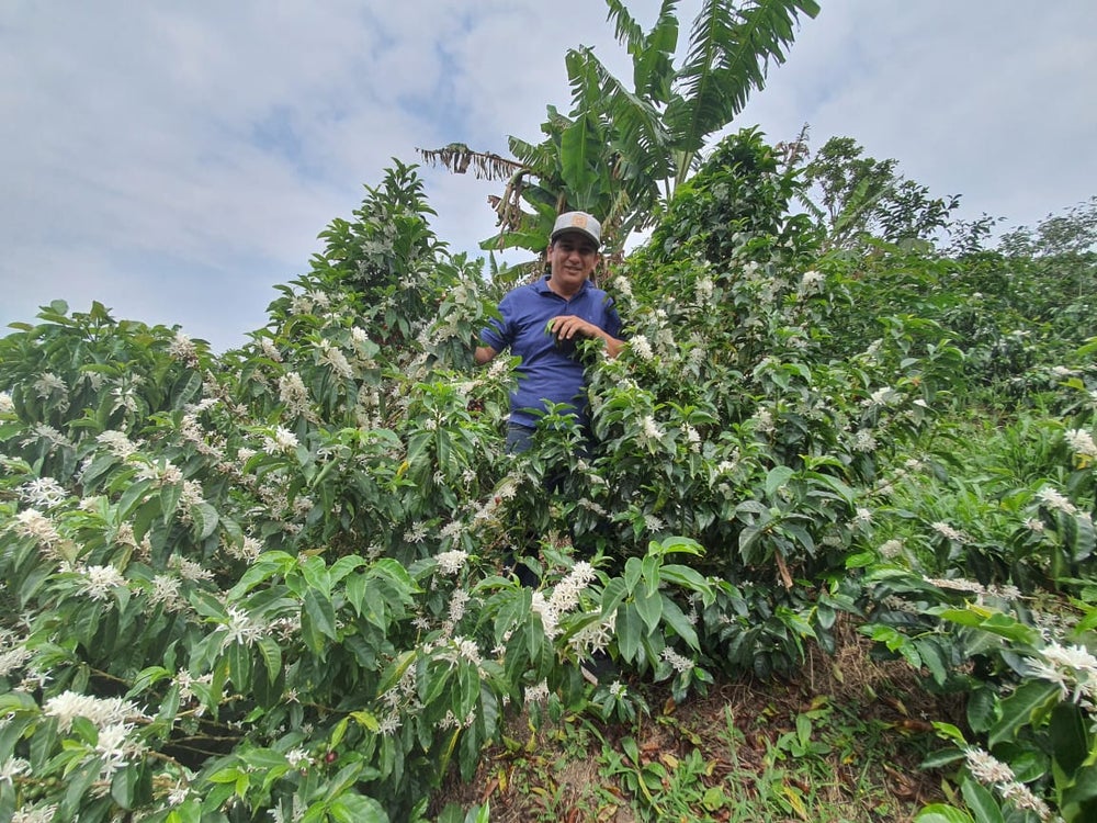 Colombia Monteblanco Passion Fruit Extended Fermentation - 100% Arabica Coffee Packaging: 200g