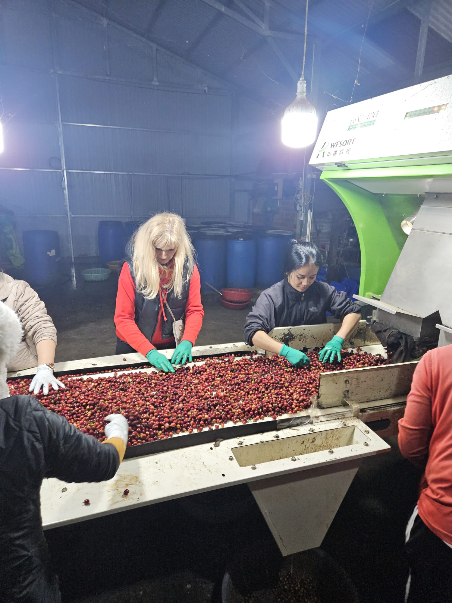 Vietnam Lang Biang Anaerobní - 100% Arabica Káva Balení: 200g