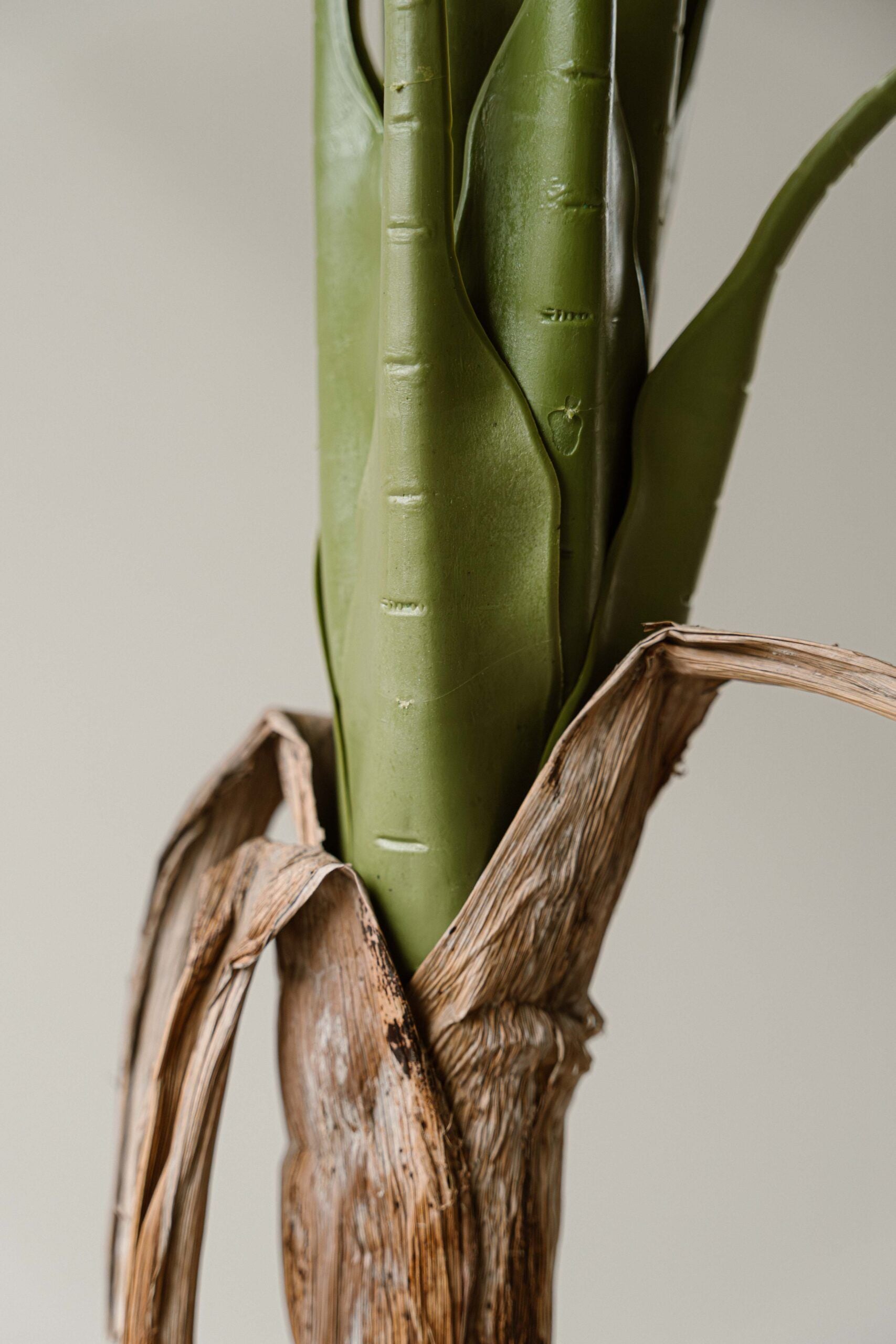 Indore Silva - Artificial Banana Plant - 170cm - Delivery time 1-2 weeks