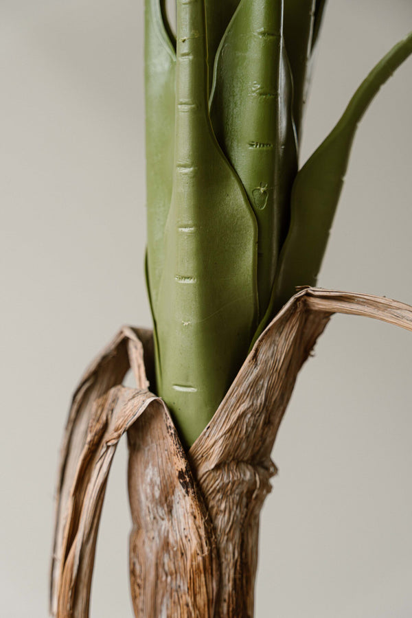 Indore Silva - Artificial Banana Plant - 170cm - Delivery time 1-2 weeks