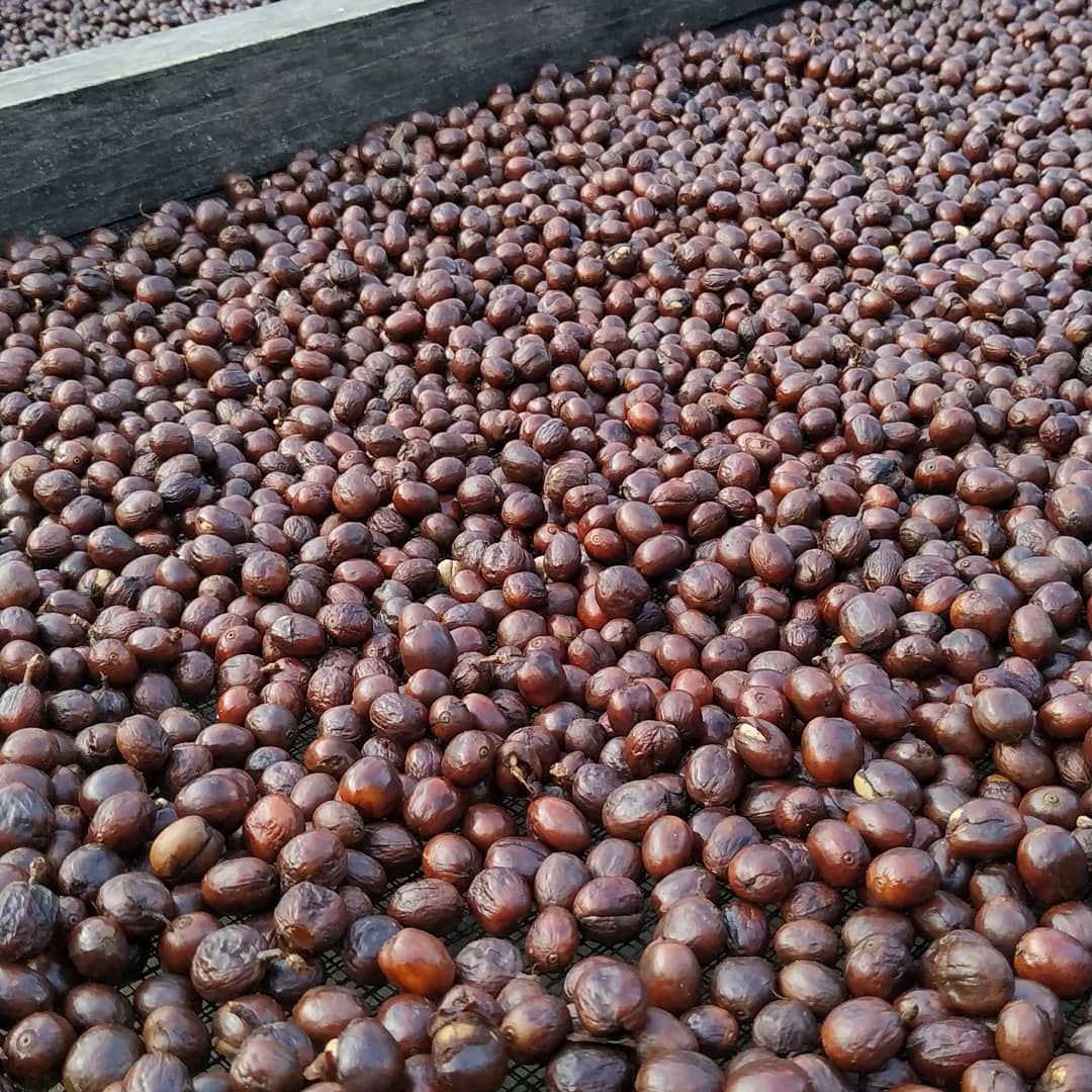 Cascara-KOFFICHERRY s kokosem 80g