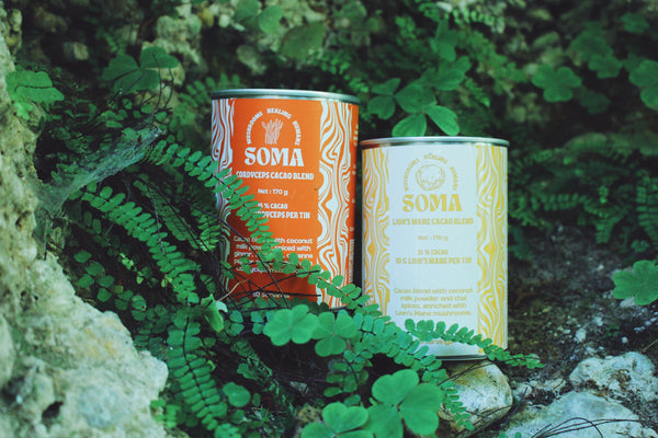 Mind & Body duo