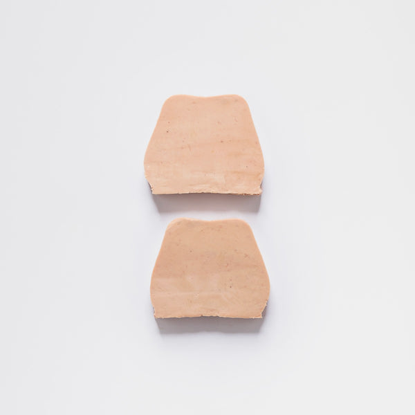 Traditional Goose Foie Gras, 2 slices - 120g