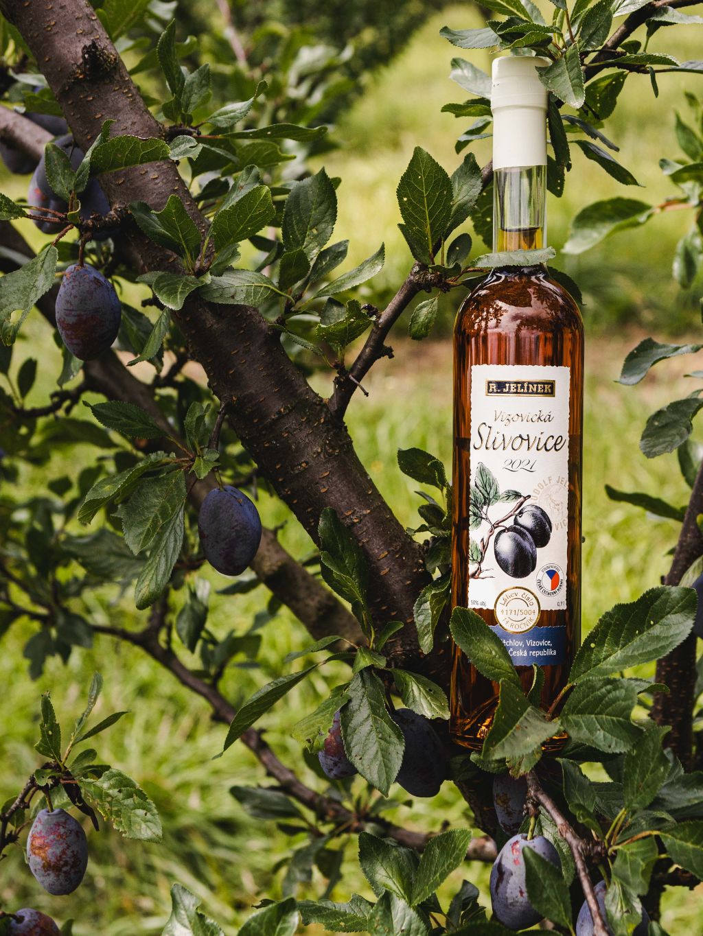 Vizovice Plum Brandy 2021 50% 0.7l