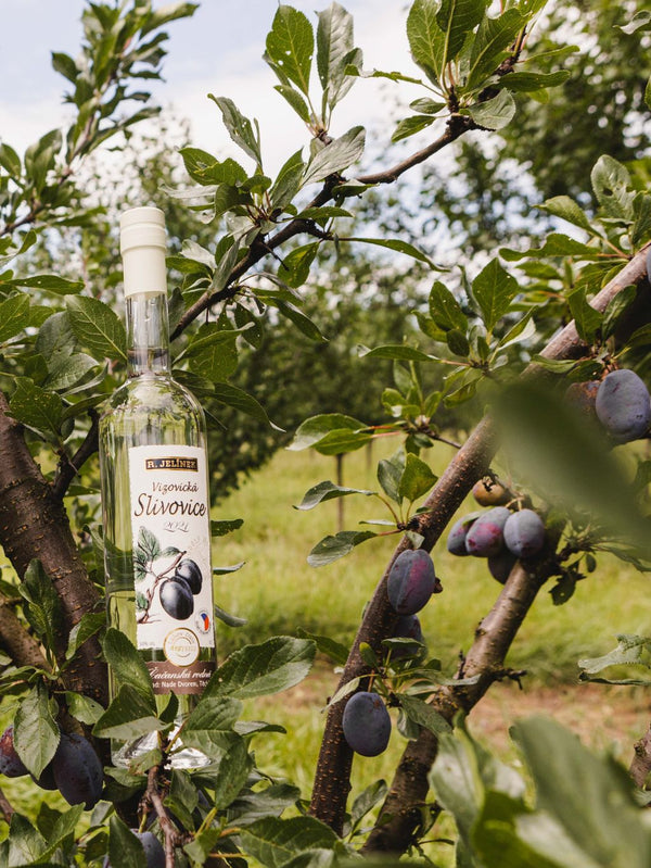 Vizovice Plum Brandy 2021 Čačanská Rodná 50% 0.7l