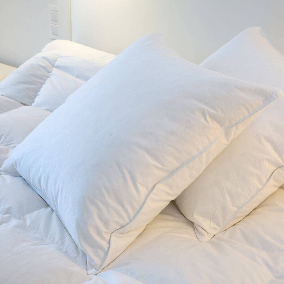 Natuurlijke Platte Kussen