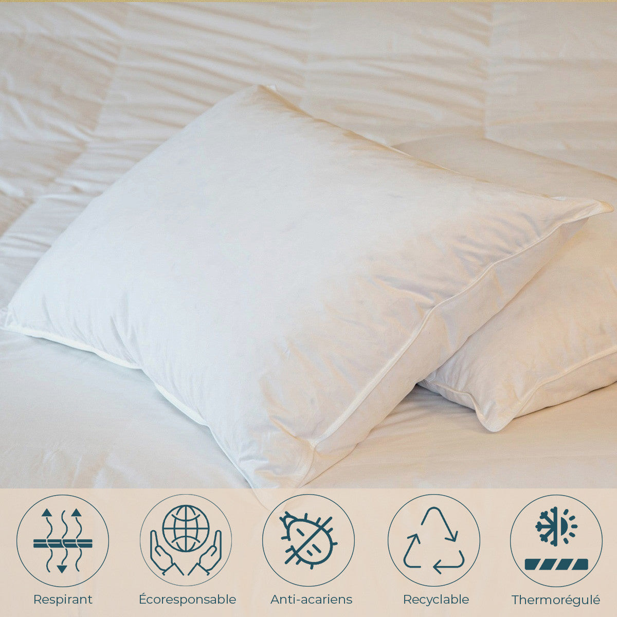 Natuurlijke Platte Kussen