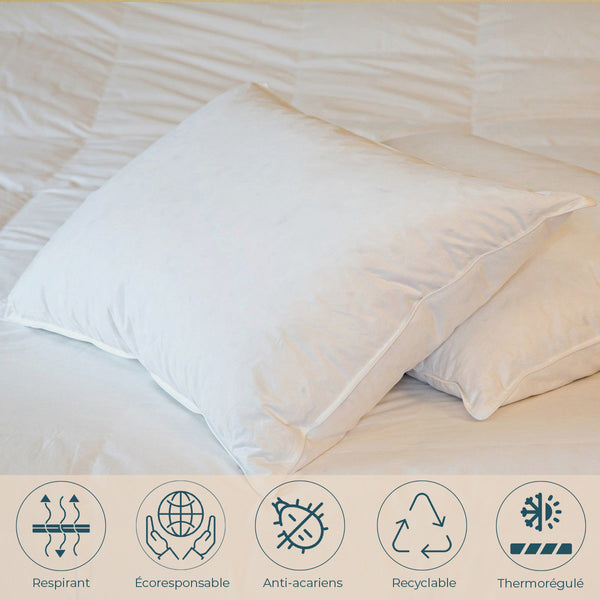 Natuurlijke Platte Kussen