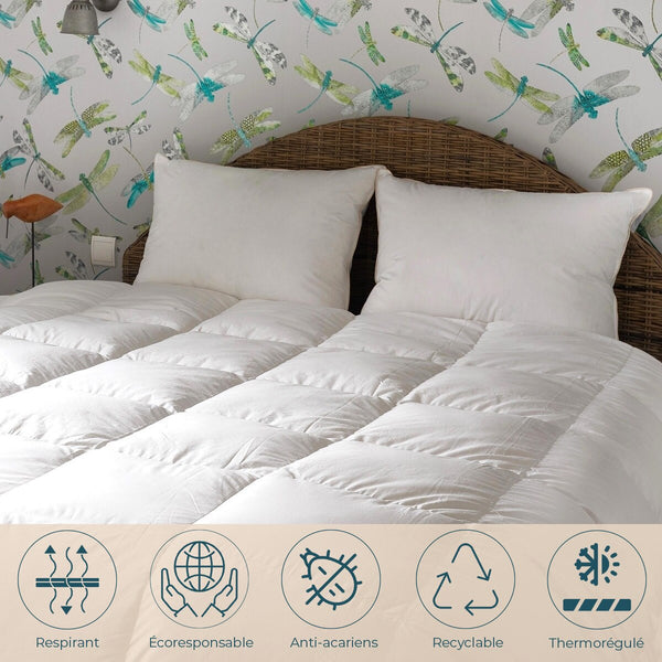 Goose Down Pillow