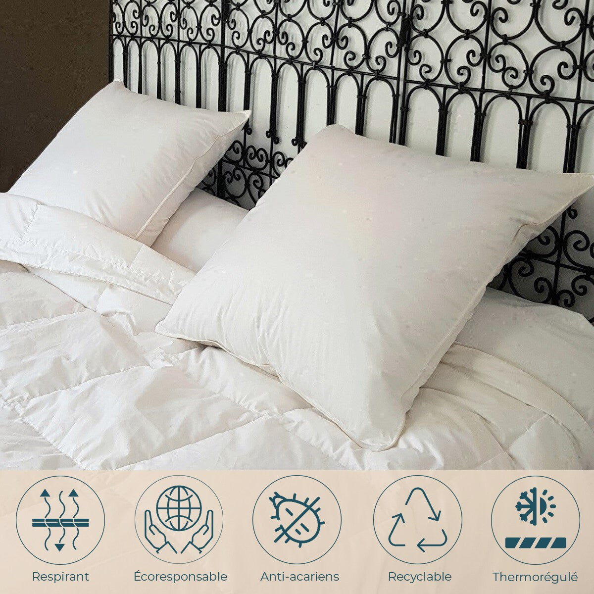 Goose Down Pillow