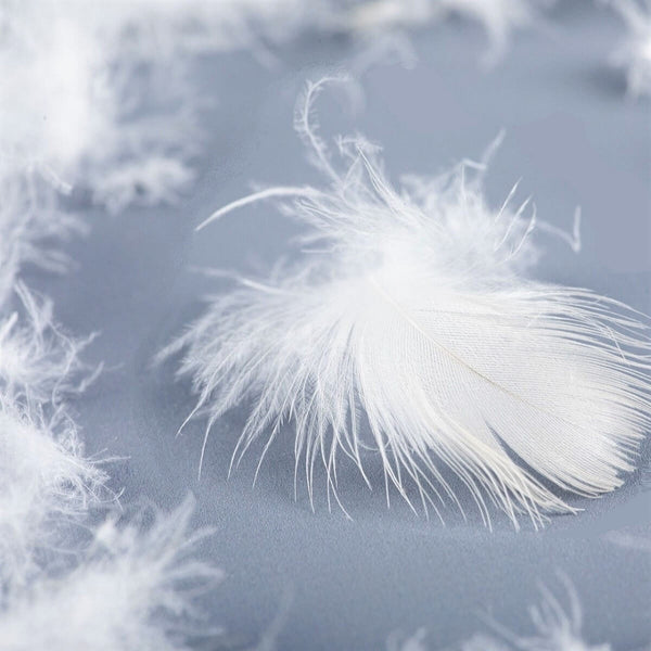 Duvet-Feather Bolster