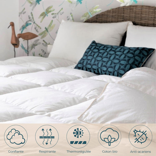 Mid-season Duck Duvet