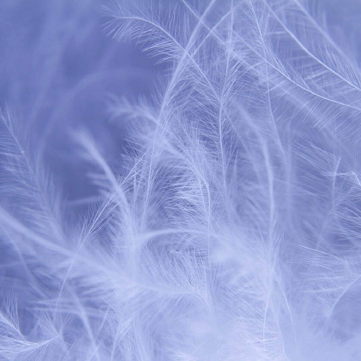 Witte Jacquard Deken