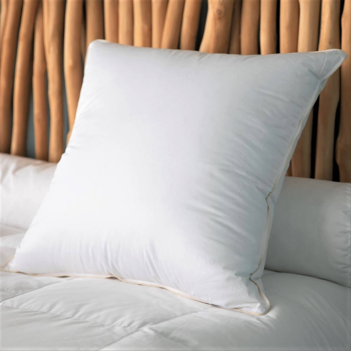 Organic and Ecological Pillow 90% Down