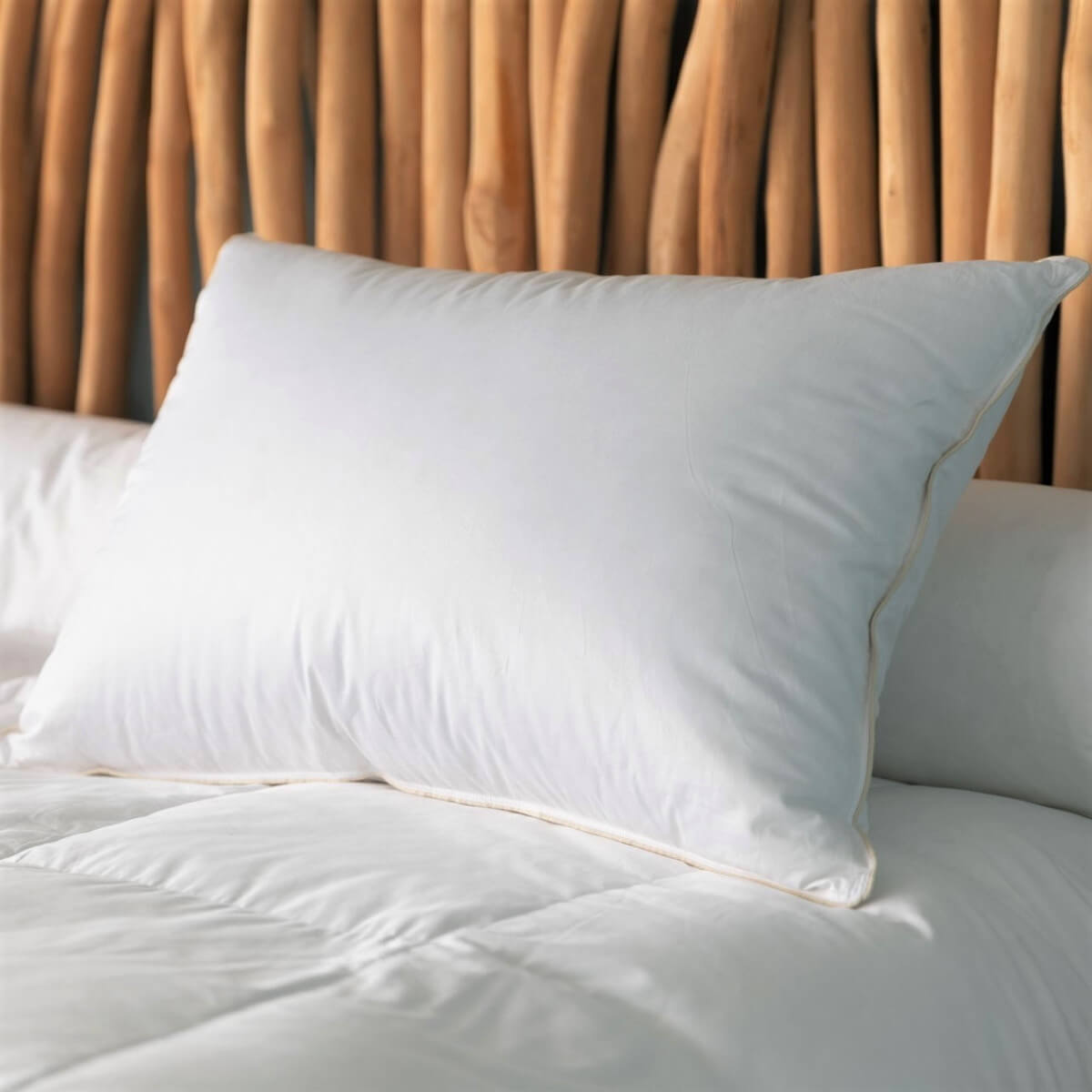 Organic and Ecological Pillow 90% Down