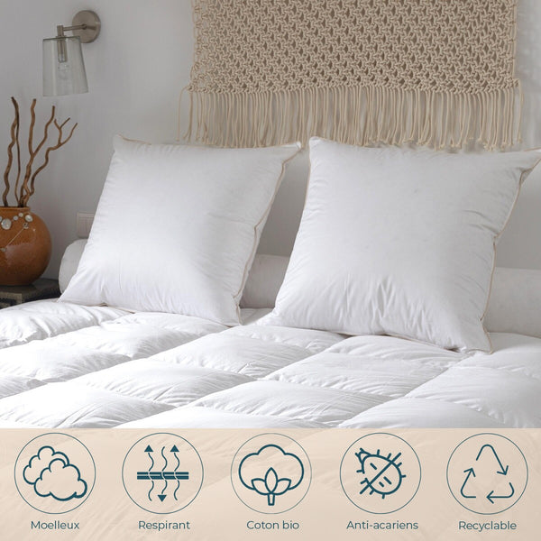 Almohada de Plumas de Ganso