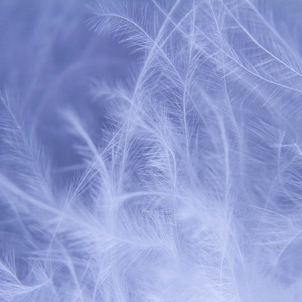 Lichtgewicht Versheid Deken - Eend