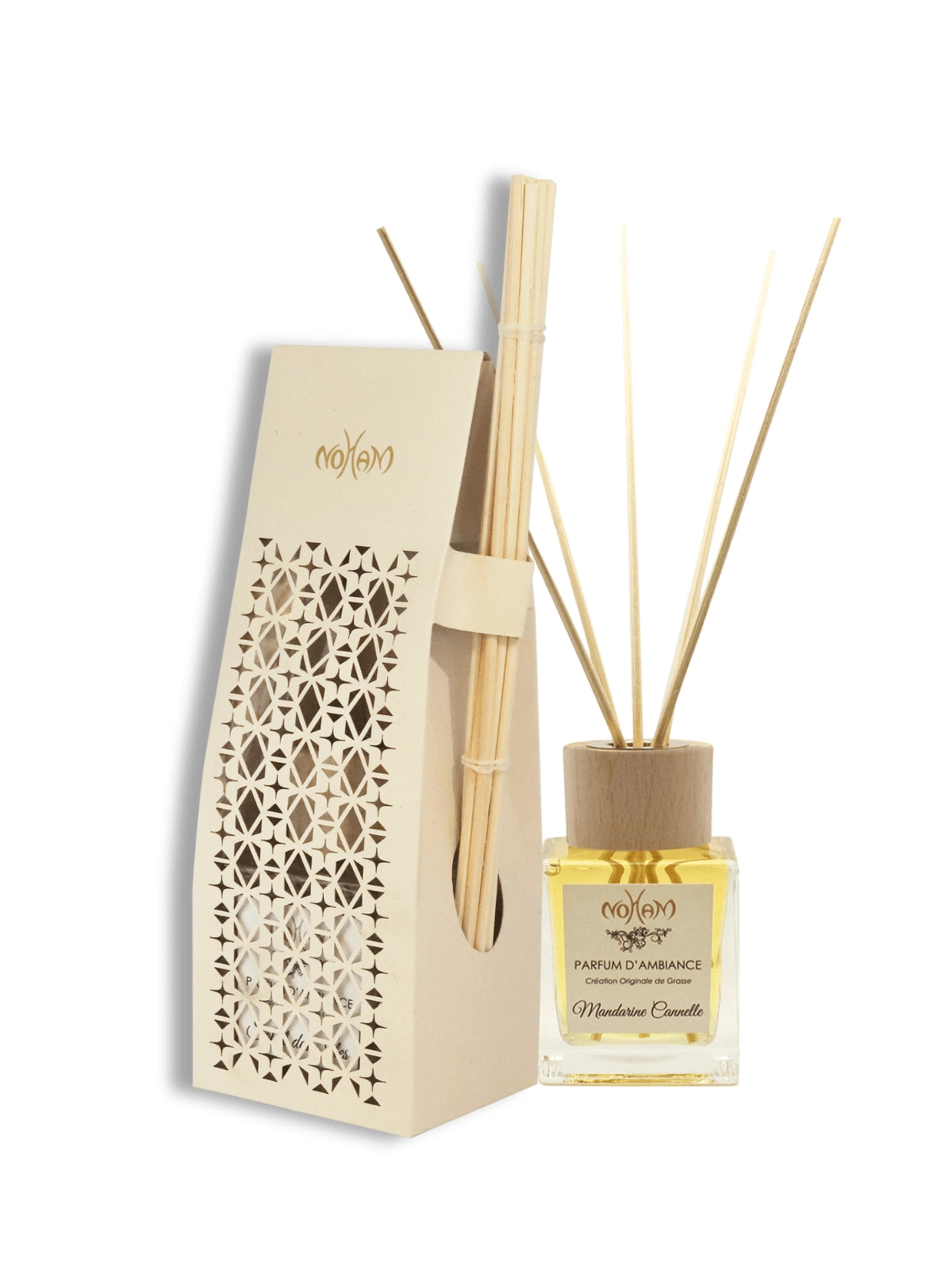 Aroma Diffuser Case