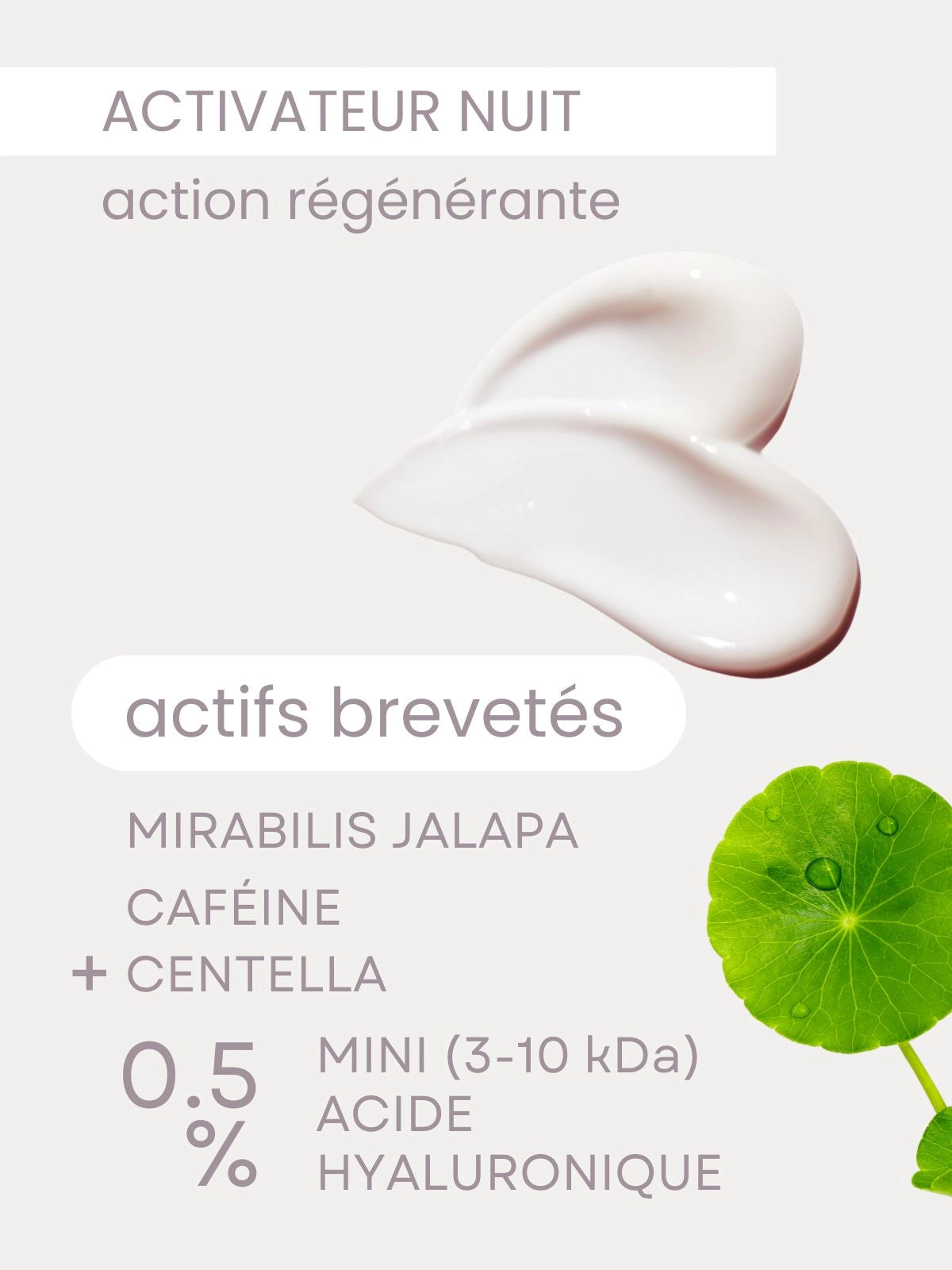 Night Cream