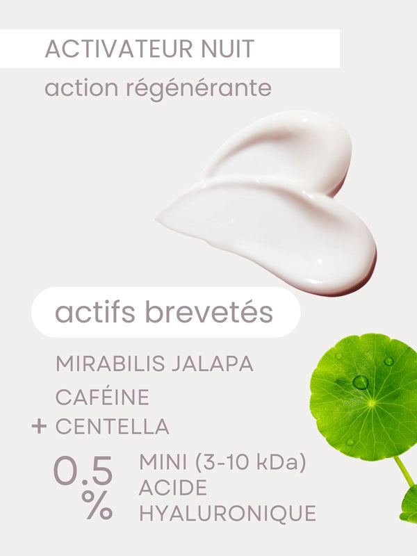 Night Cream