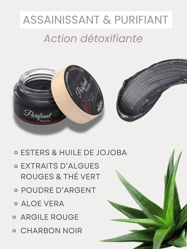 Absolute Purifying Mask